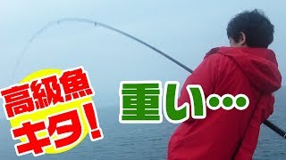 【堤防で1泊2日】1つの堤防で15種類を超える釣行‼5 [upl. by Kauffman]