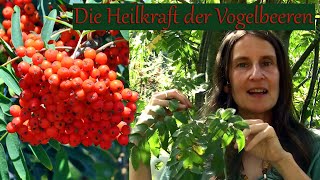 Die Heilkraft der Vogelbeeren [upl. by Ardnola560]