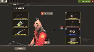 The Best Cosmetic Set in TF2 [upl. by Fachan]