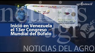 🔴 Inició en Venezuela el décimo tercer congreso mundial del búfalo  NDA [upl. by Cul]