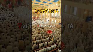 Orthodox Tewahdo ኦርቶዶክስ ተዋሕዶ ለዘልአለም ፀንታ እና ተከብራ ትኑርኦርቶዶክስ ኦርቶዶክስመዝሙር ተዋህዶ ኢትዮጵያ ቤተክርስቲያን [upl. by Mellen]