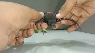 Toys for Pranks imalidotcom robotic Alive scary spider running Hamster Hexbug Bug scary realistic [upl. by Asirrac228]