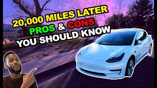 20000 Miles Later with Tesla Model 3 LFP  Pros amp Cons  MUST WATCH [upl. by Sabir878]