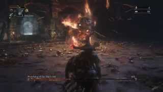 Bloodborne  No Damage Defiled Chalice Watchdog of the Old Lords  Waste Of Skin LVL 4 [upl. by Old]