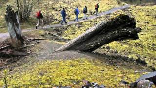 Mount St Helens  30 years later [upl. by Atile]