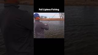 Fall Lipless Crankbait Fishing [upl. by Balac]