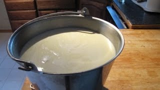 The Raw Milk Renaissance A Farmers Advocacy for Natural Dairy [upl. by Israel]