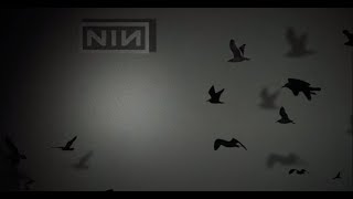 Best of Trent Reznor Ambient and Instrumental music 45hrs [upl. by Dumanian]