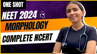 NEET 2024 Morphology in One Shot  Class11 Biology [upl. by Idna]