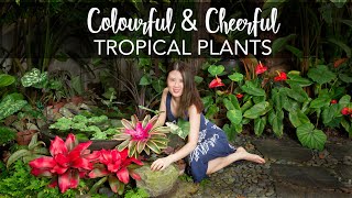 Easy amp Colourful Plants to brighten the tropical garden [upl. by Wallford]