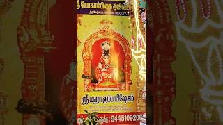 thiruverkadu ஸ்ரீ யோகாம்பிகை kumbabishekam Nov17 காலை 6am to 8am [upl. by Amble735]