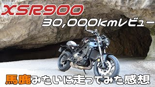 洗車をしながらXSR900のレビュー、インプレ [upl. by Liag]