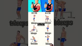 biceps and triceps workout [upl. by Macario]