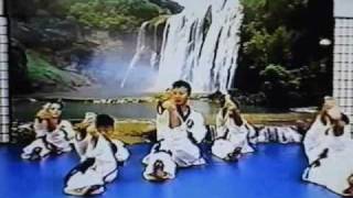 Tang Soo Do beginning exercises part 1 [upl. by Osicran]