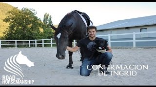 Doma Natural  Cómo REEDUCAR a tu caballo 77 [upl. by Yasmar]