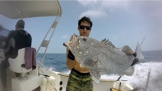 Spearfishing  Excursion New Caledonia [upl. by Hedveh486]