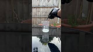 Hydrochloric acid  sodium metal  table salt 🧂 science chemistry experiment [upl. by Ecissej]