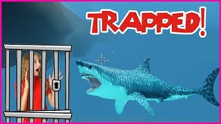 Trapped in a SHARK CAGE [upl. by Yorker]