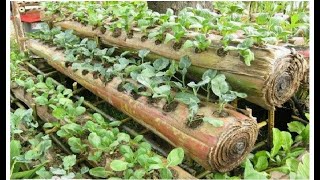 Amazing Farming ideas for Your Home amp Garden [upl. by Namar331]