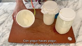 LOS BÚLGAROS NO PRODUCEN YOGUR fermentos mesófilos vs termófilos [upl. by Sral482]