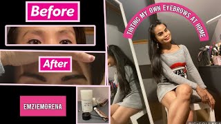 REFECTOCIL eyebrows tint at home practicemakesperfect 🤎 [upl. by Annaiv108]