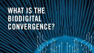 What is the biodigital convergence [upl. by Nwahsek901]