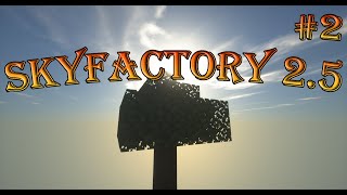 Getting resources  Skyfactory 25  2 [upl. by Feriga]