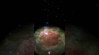 Flight through the Orion Nebula Visible vs Infrared light comparison space nebula foryou short [upl. by Kei]