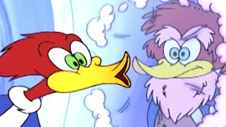 Woody Woodpecker Show  Wild Woodpecker  Full Episode  Videos For Kids [upl. by Falcone]