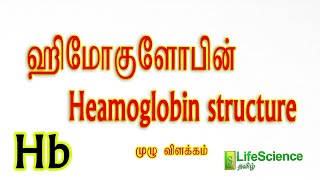 HAEMOGLOBIN STRUCTURE IN TAMIL  LIFESCIENCE TAMIL  TRB ZOOLOGY  TNSET LIFESCIENCE  TNPSC  NEET [upl. by Colyer]