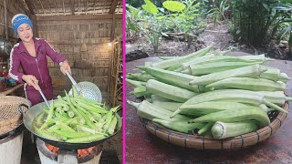 Yummy Okra cooking with country style  Cooking with Sreypov [upl. by Daffy]