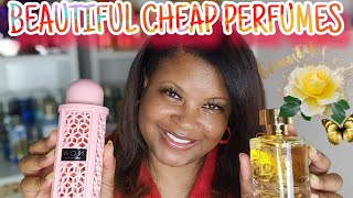 CHEAP PERFUMES THAT SMELL HIGH END  ● PERFUME COLLECTION 2024 ● ANARCH ● RAVE NOW WOMAN [upl. by Notsgnal]