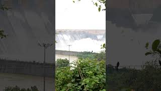 Hirakud Dam Gate Opening  Crest Gate Overflow  Wildgrass Entertainment  Flood Water  Shorts [upl. by Acinomaj629]