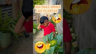 Mathias orina las plantas [upl. by Spindell574]