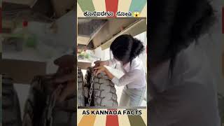 Stone Removing From Truck Tyre  kannada facts karnataka amazing youtubeshorts trendingshorts [upl. by Thelma429]