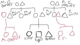 Introduction to Kinship Diagrams  Cultural Anthropology [upl. by Nahsad]