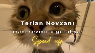 Terlan Novxani  Məni Sevmir O Gözəl Yar  speed up [upl. by Bywoods858]