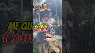 El Cocodrilo Quiere Comerme shortvideos [upl. by Irama]