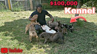 Dog Breeding Changed My Life❗️ [upl. by Negeam]