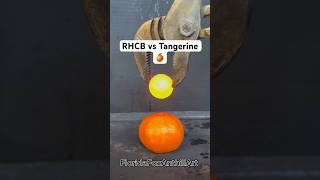 RHCB vs Tangerine 🍊 Satisfying Experiment ASMR Tangerine [upl. by Fasta]