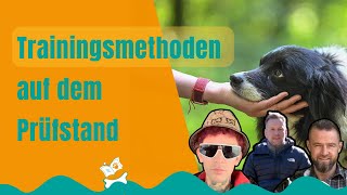 Entdecke die Geheimnisse des Hundetrainings Trainingsmethoden enthülltquot [upl. by Trahurn]