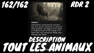 Tout Les Animaux Red Dead Redemption 2 [upl. by Yanehc]