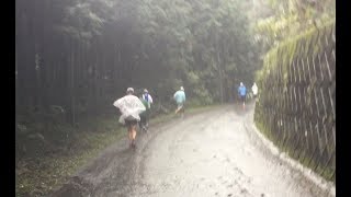 大雨の 2017奥武蔵もろやま「仰天」ハーフマラソン [upl. by Ulrikaumeko]