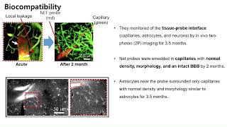 저널미팅 Ultraflexible nanoelectronic probes from reliable glial scarfree neural integration [upl. by Gertie]