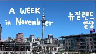 🇳🇿NZ vlog🌷 a week in November  뉴질랜드 일상  auckland  summer is coming🌞  율바 yulba [upl. by Arabella]