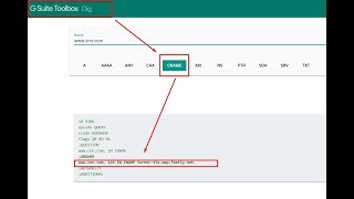 How To Double Check If Your A Record and CNAME Record On The Registrar Site Are OK [upl. by Atteynot]