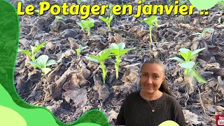 Tour du Potager en janvier  🌱 [upl. by Ettenajna]