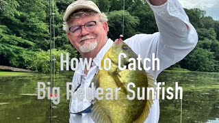 How to Catch Shellcrackers  Two Great Techniques for Big Redear Sunfish [upl. by Ruthann]