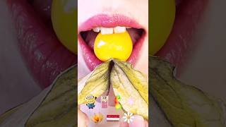 asmr PHYSALIS😋 EMOJI FOOD COMPILATION🍫⭐️ 🌸🇭🇺 satisfying eating sounds mukbang 먹방 [upl. by Meek]