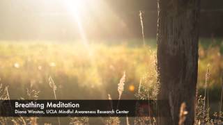 Breathing Meditation  UCLA Mindful Awareness Research Center [upl. by Dercy861]